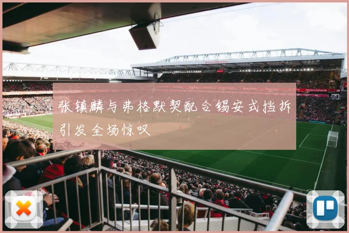 张镇麟与弗格默契配合锡安式挡拆引发全场惊叹