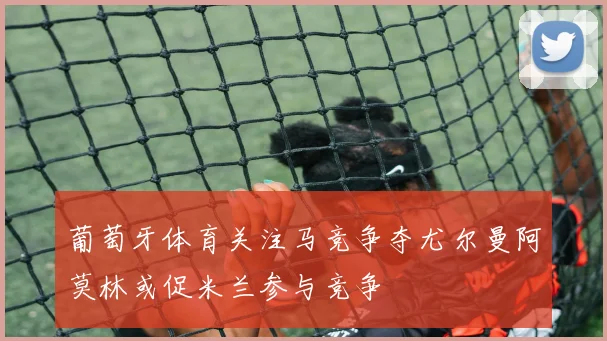 葡萄牙体育关注马竞争夺尤尔曼阿莫林或促米兰参与竞争