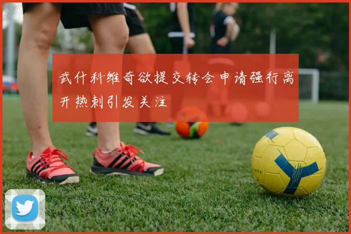武什科维奇欲提交转会申请强行离开热刺引发关注